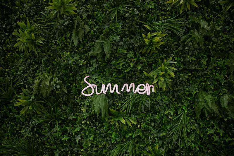 Summer Is the Secret Weapon: Why Slower Seasons Are the Best Time to Strengthen Your Church Communications Calendar hero image